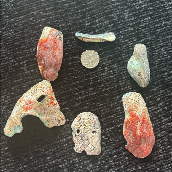 Colorful Abalone Shell Pieces - Picture 2 of 8